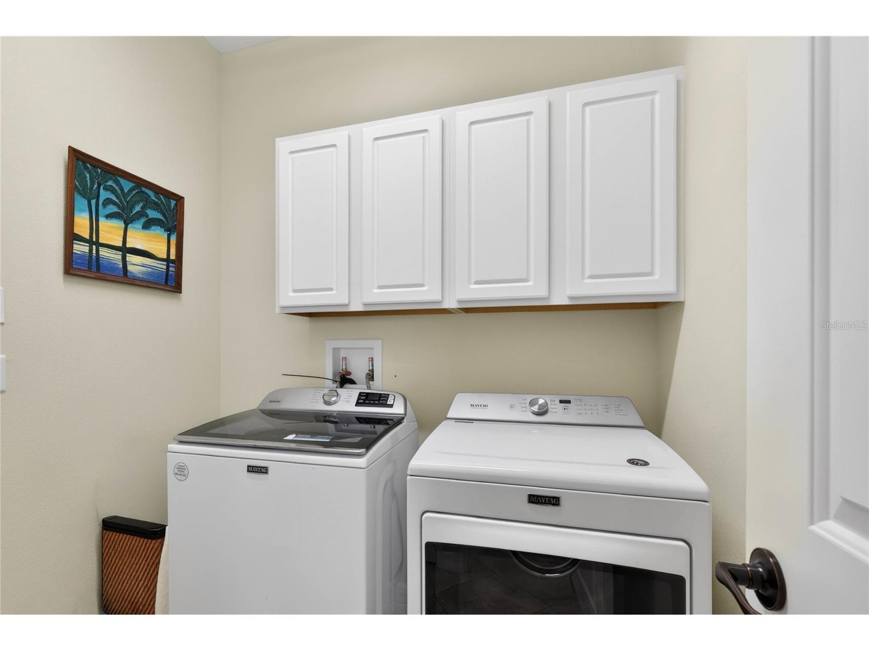 4606 Coppola Drive Mount Dora FL 32757 O6415792 image26