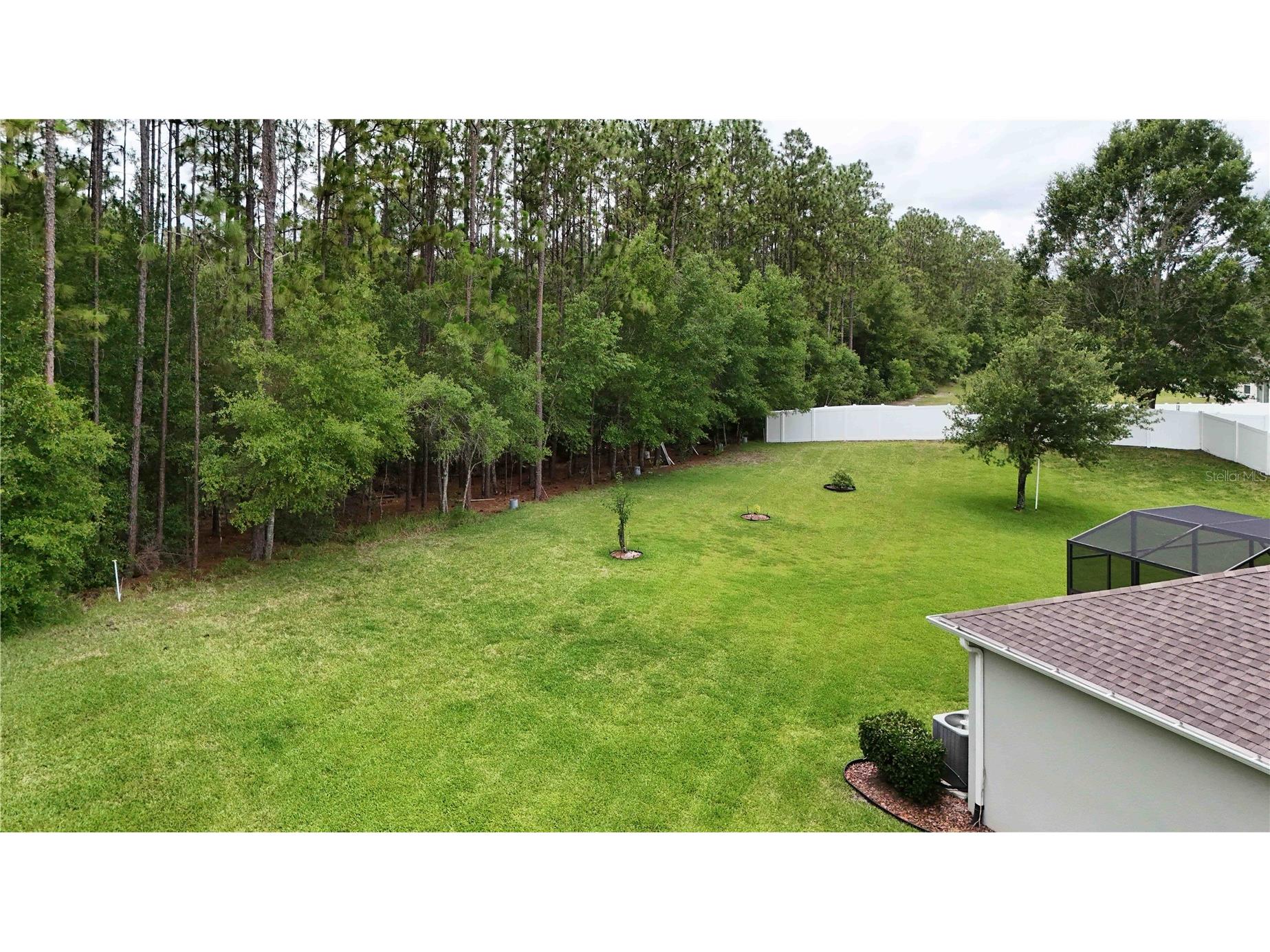 4606 Coppola Drive Mount Dora FL 32757 O6415792 image46