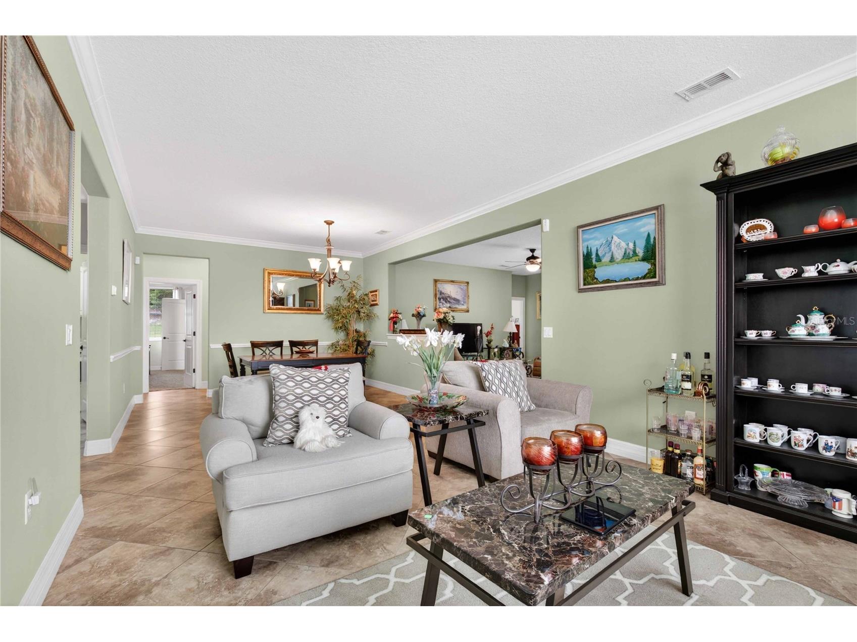 4606 Coppola Drive Mount Dora FL 32757 O6415792 image9