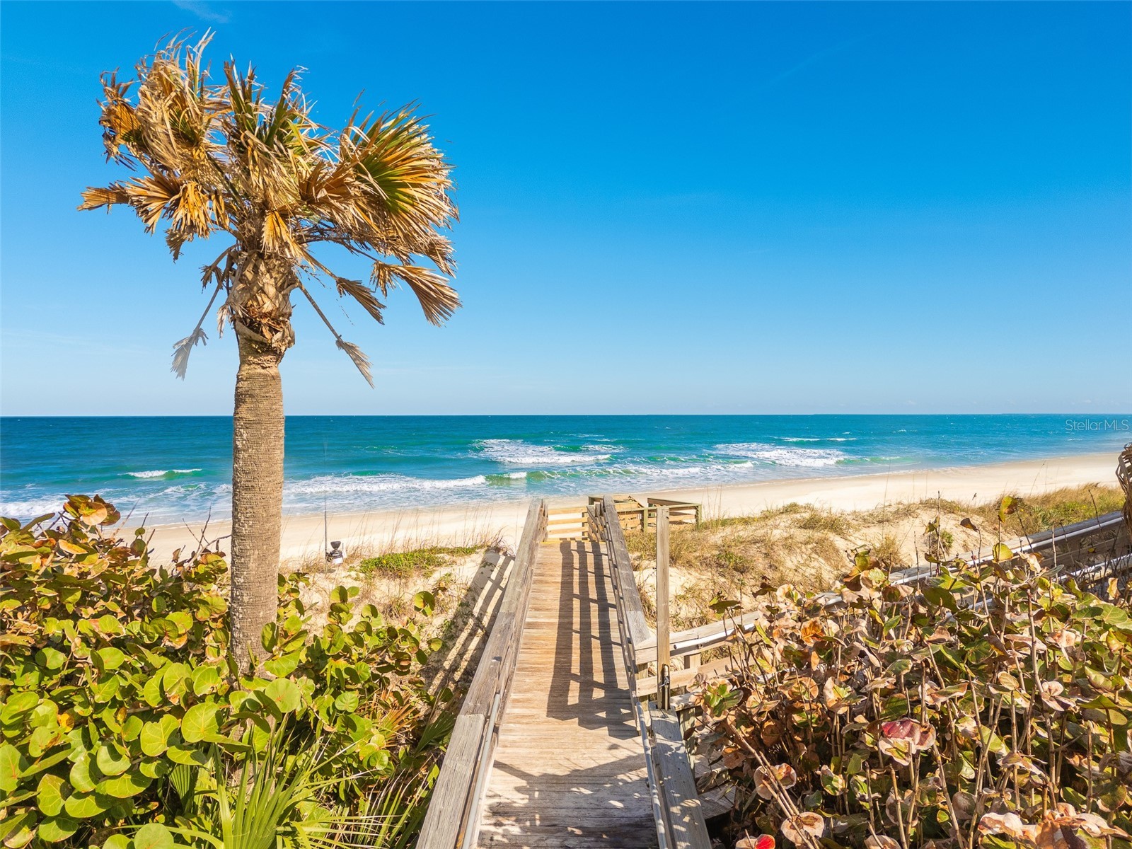 4606 Oak Hammock Court #4606 Ponce Inlet FL 32127 - HALIFAX RIVER V4947046 image90