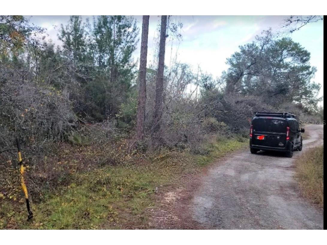 4606 Piedmont Avenue Sebring FL 33875 O6149927 image3