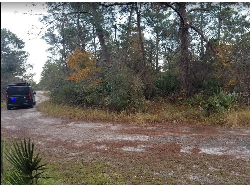 4606 Piedmont Avenue Sebring FL 33875 O6149927 image4