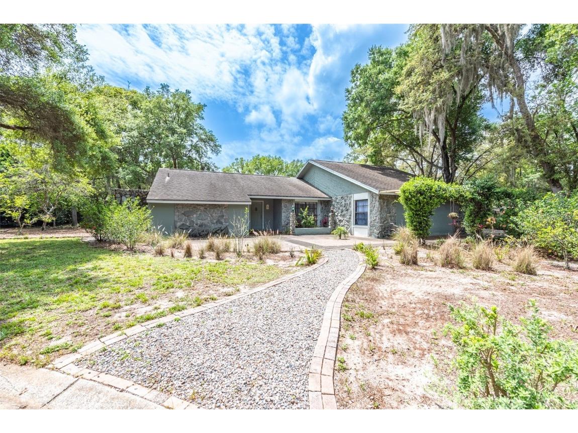 4606 Ridgecliff Drive Brandon FL 33511 T3362798 image1