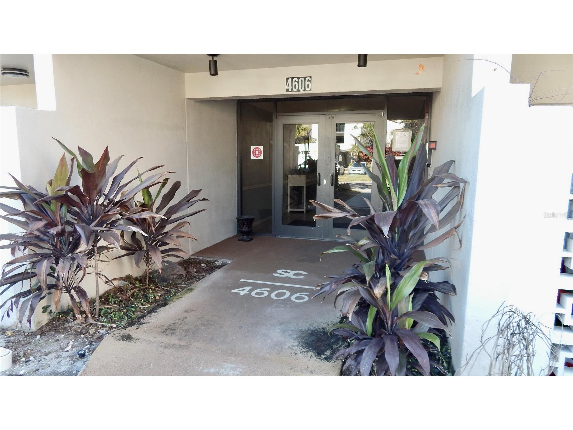 4606 W Gray Street #206 Tampa FL 33609 TB8469954 image2