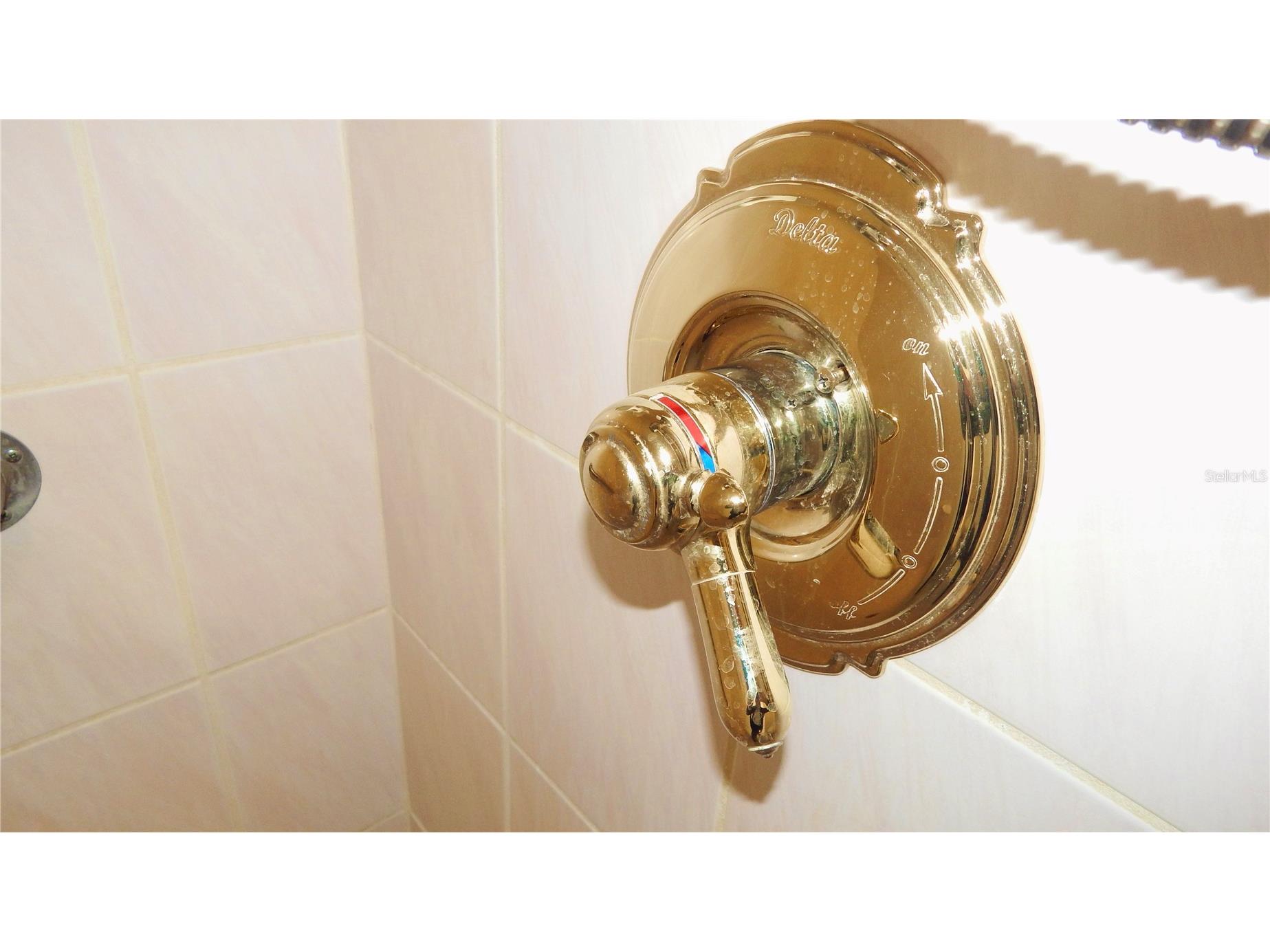 4606 W Gray Street #206 Tampa FL 33609 TB8469954 image28