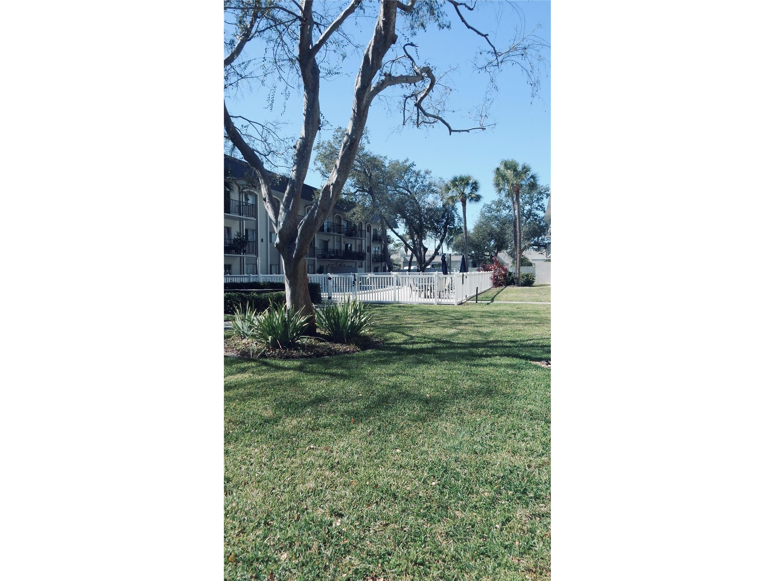 4606 W Gray Street #206 Tampa FL 33609 TB8469954 image53