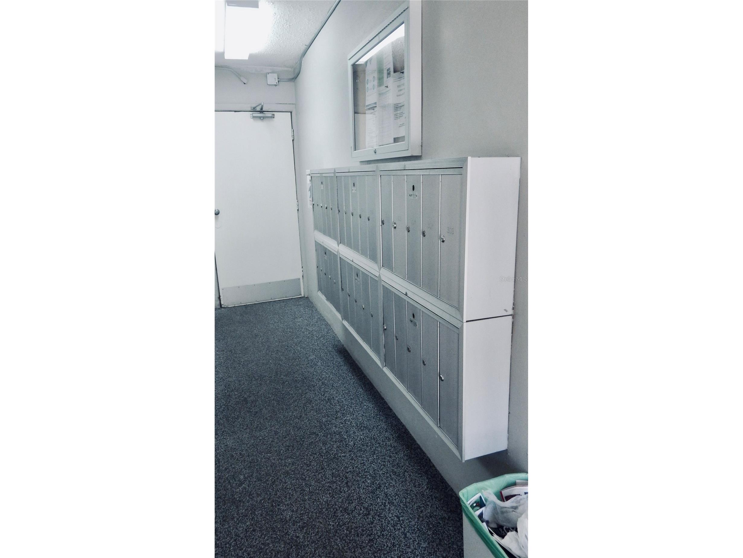 4606 W Gray Street #206 Tampa FL 33609 TB8469954 image55