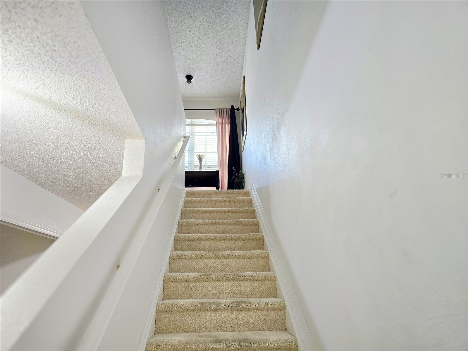 4607 Ashburn Square Drive Tampa FL 33610 TB8456266 image16