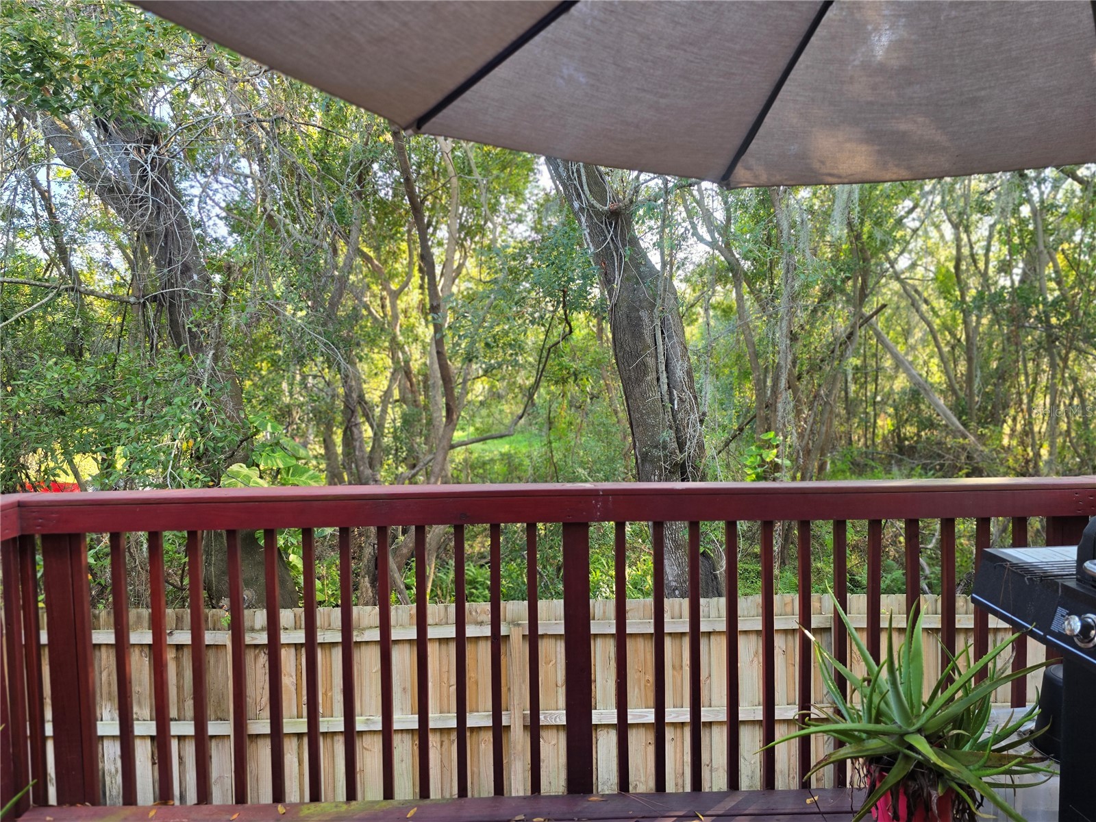 4607 Ashburn Square Drive Tampa FL 33610 TB8456266 image36