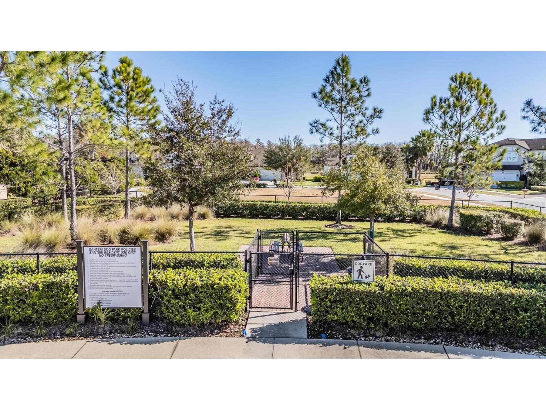 4607 Barletta Court Wesley Chapel FL 33543 O6375637 image33