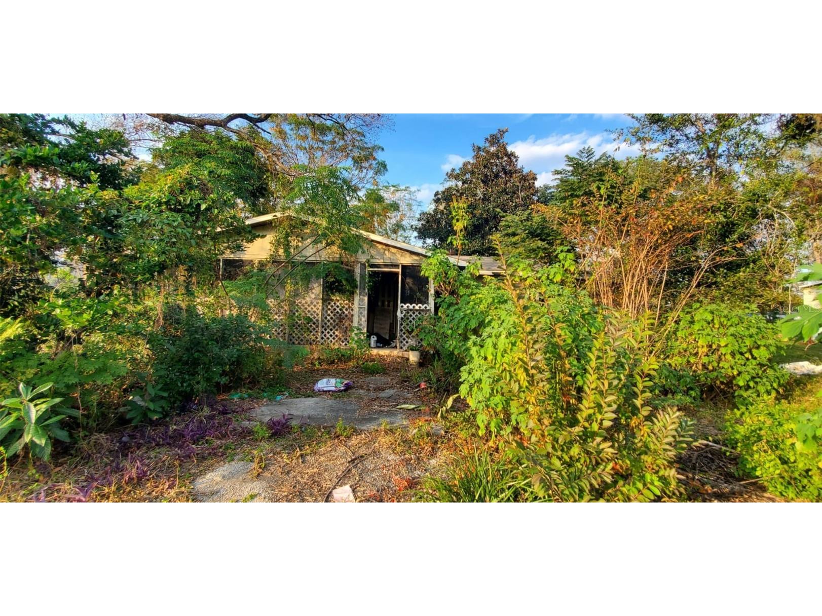 4607 Oak Street Fruitland Park FL 34731 O6276644 image1