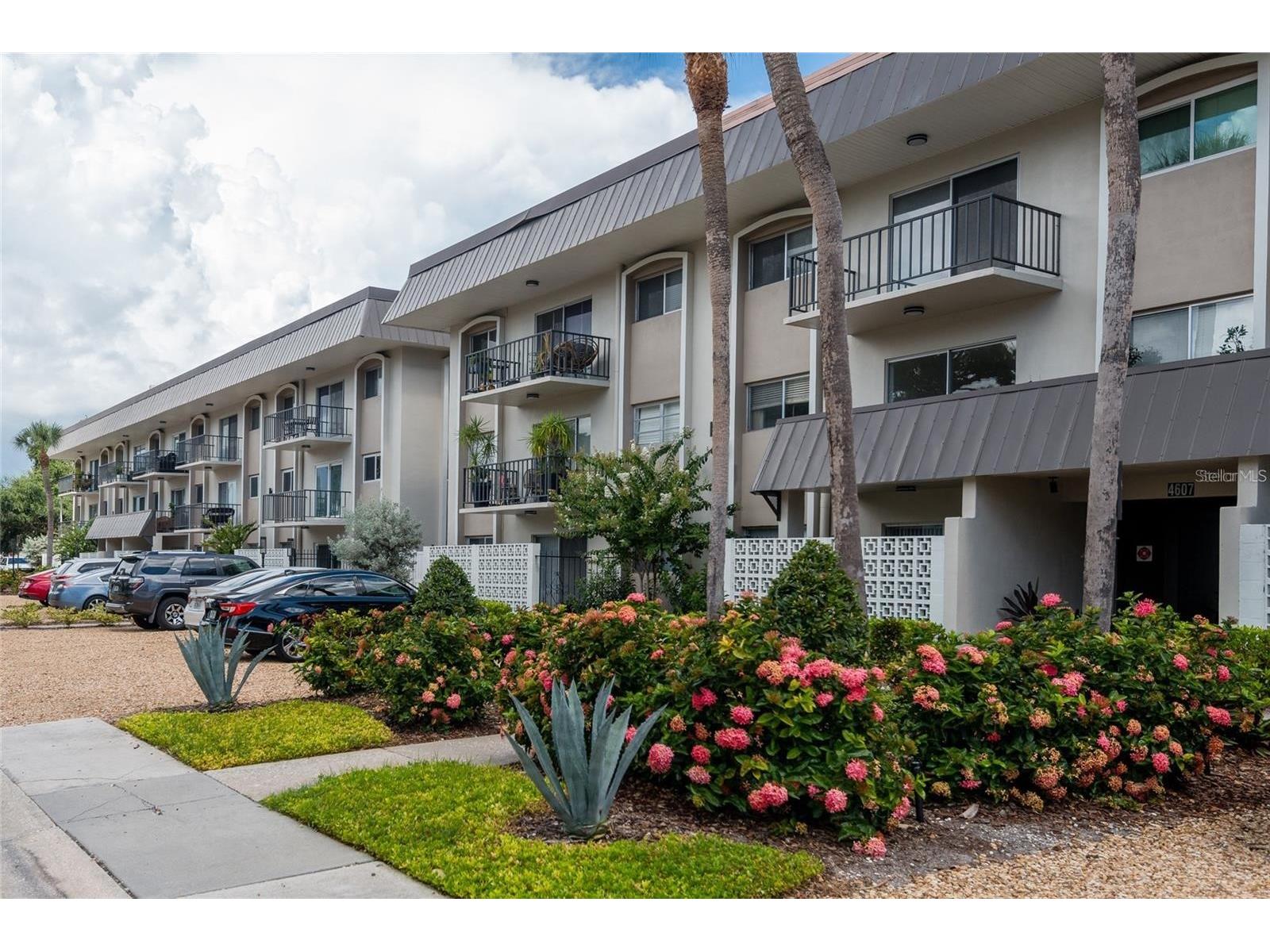 4607 W Fig Street #203 Tampa FL 33609 TB8496275 image2