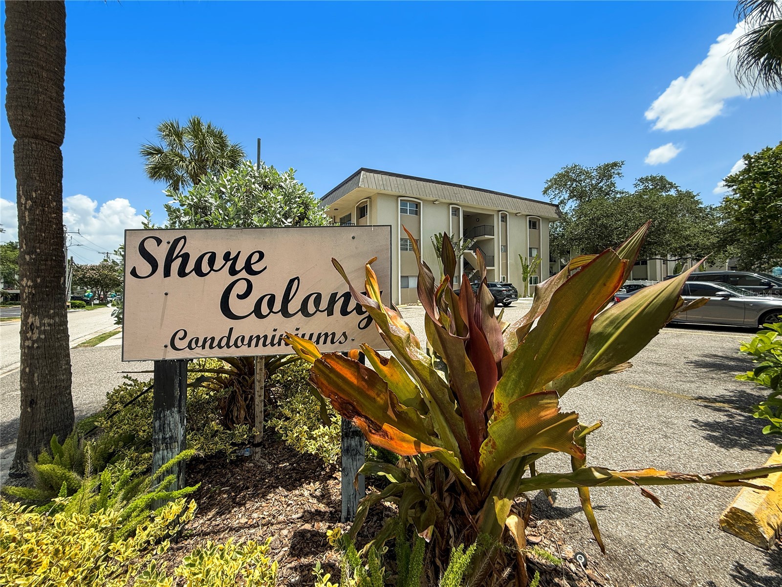 4607 W Fig Street #209 Tampa FL 33609 O6416442 image26
