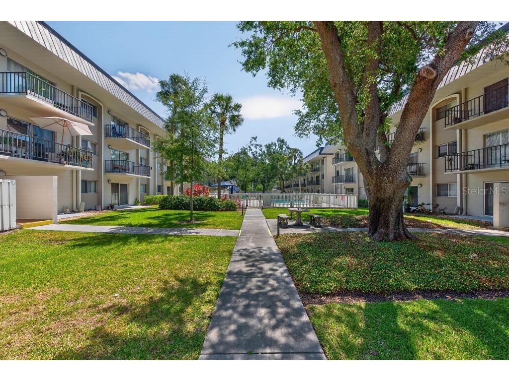 4607 W Fig Street #308 Tampa FL 33609 TB8503041 image29