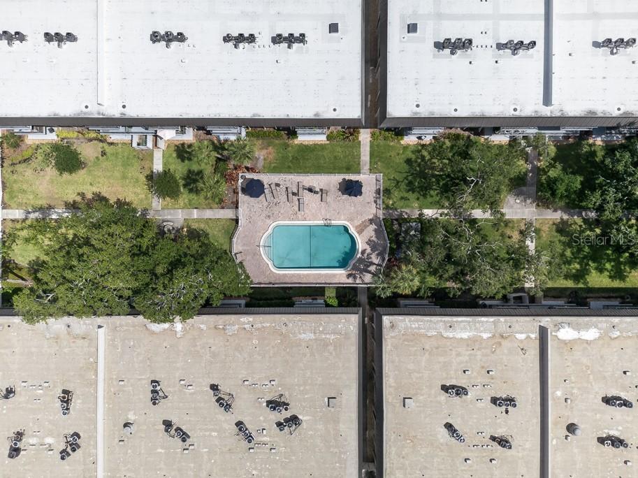 4607 W Fig Street #308 Tampa FL 33609 TB8503041 image43