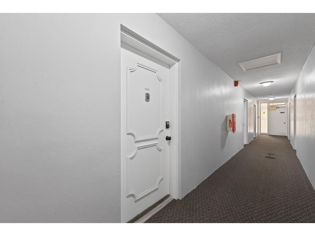 4607 W Fig Street #308 Tampa FL 33609 TB8503041 image5