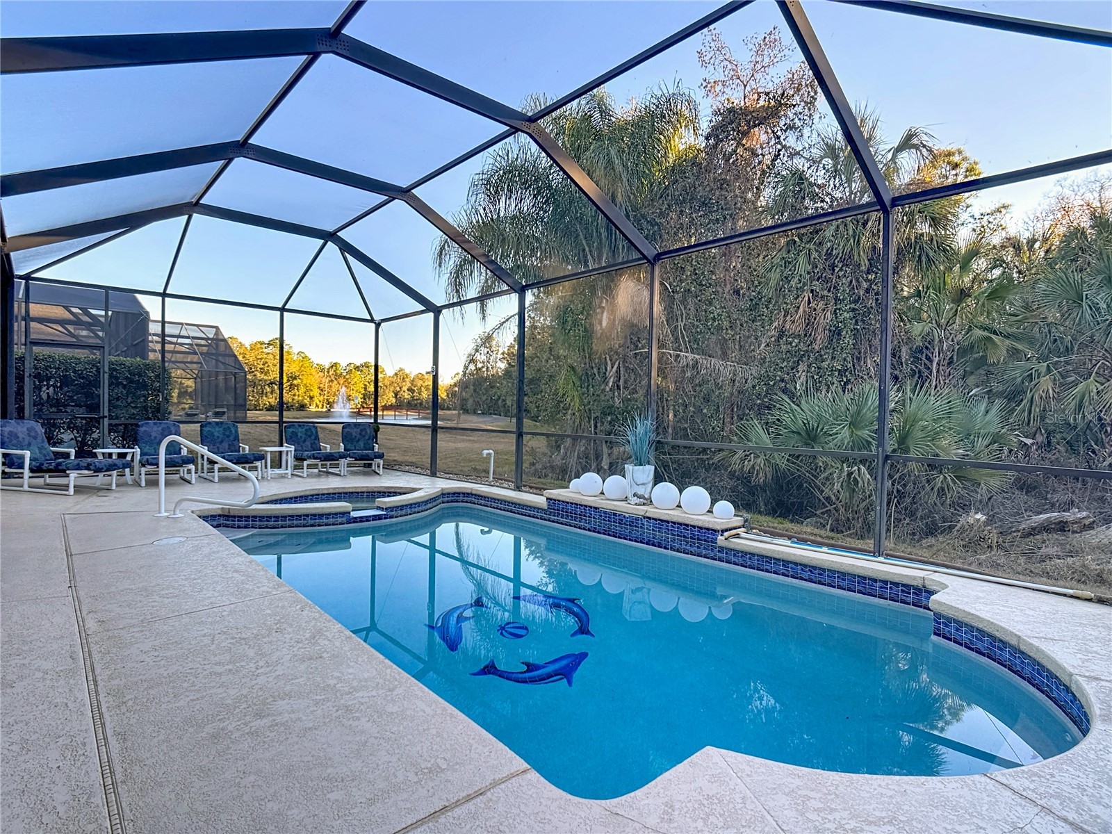 4608 Cumbrian Lakes Drive Kissimmee FL 34746 O6389975 image65