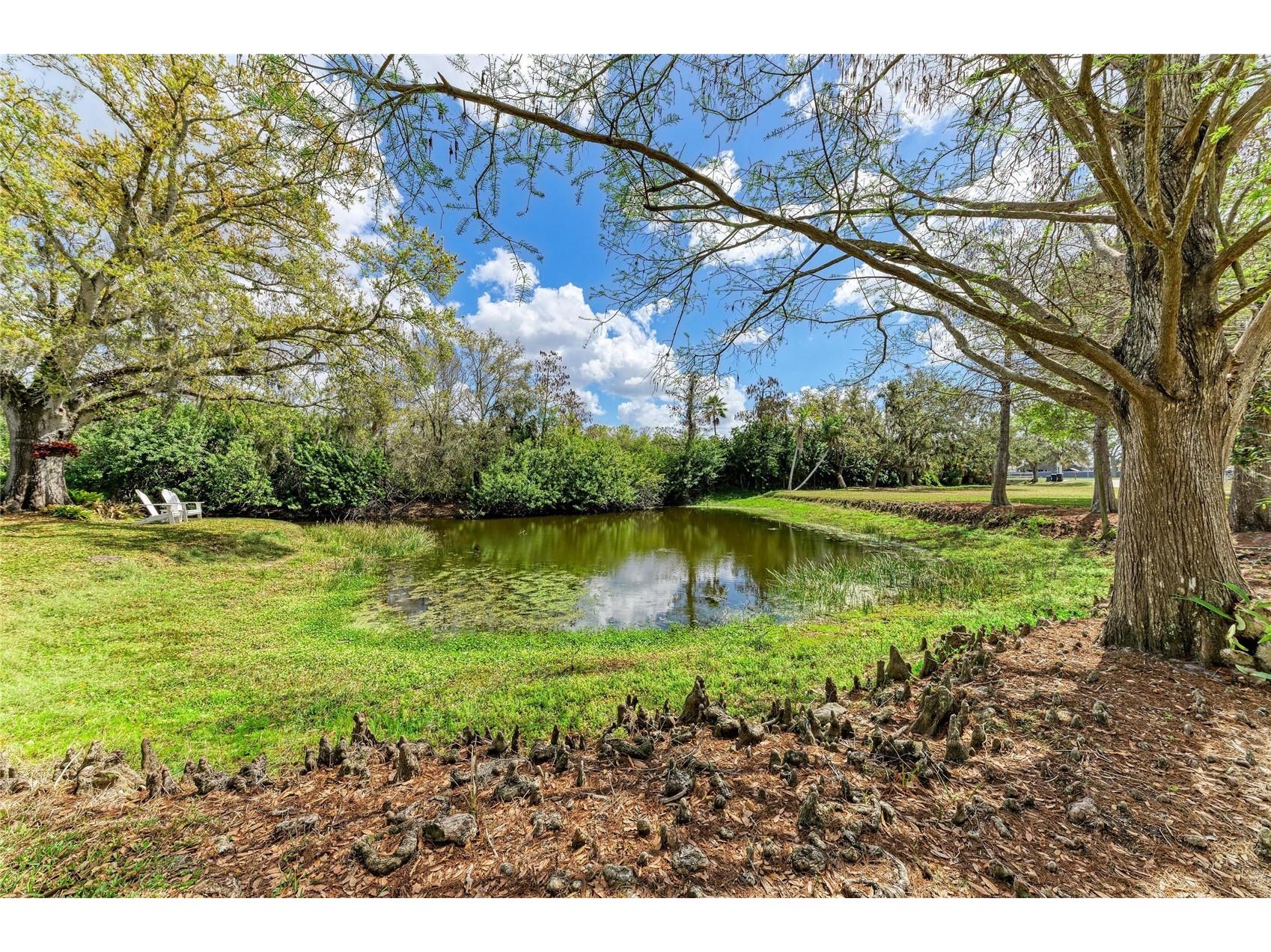 4609 44th Avenue E Bradenton FL 34203 A4685470 image28