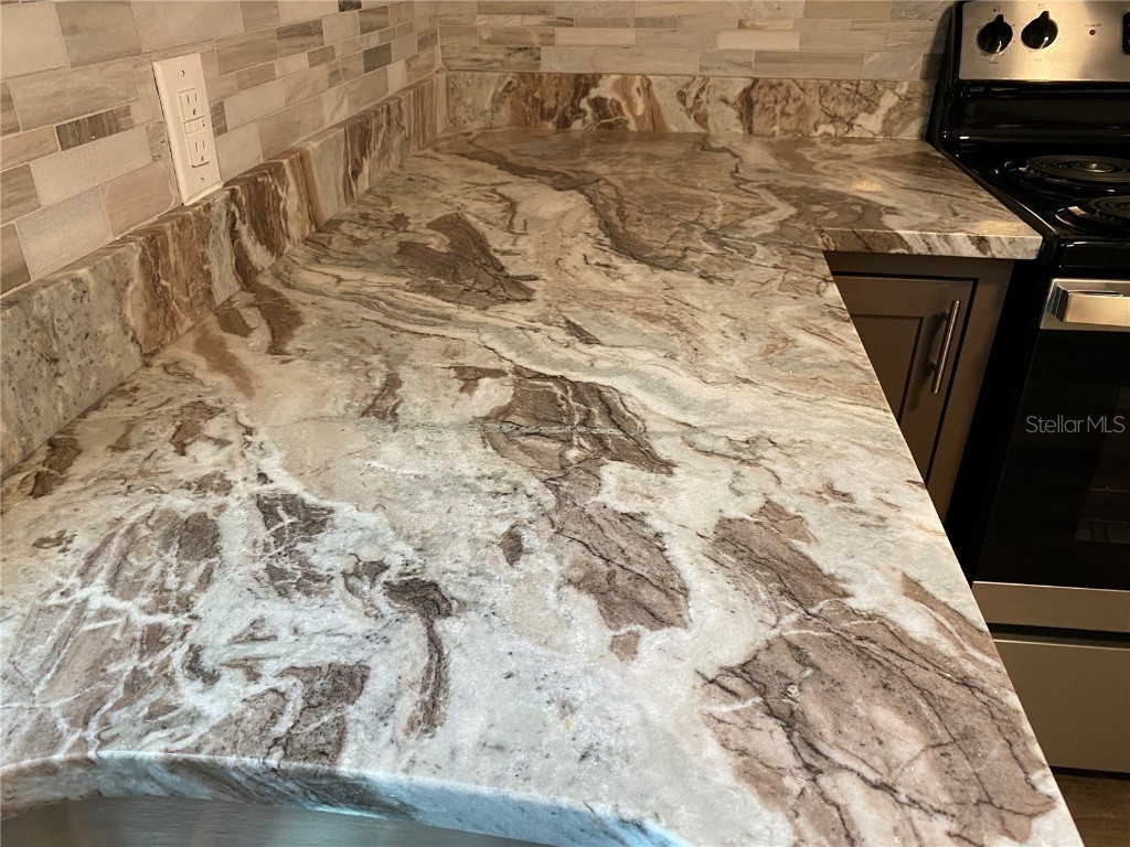 4609 5th Street Zephyrhills FL 33542 TB8406064 image14