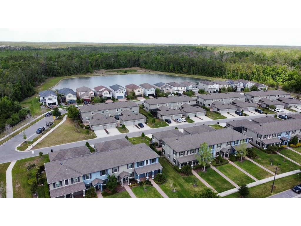 4609 Bexley Village Drive Land O Lakes FL 34638 TB8494038 image11