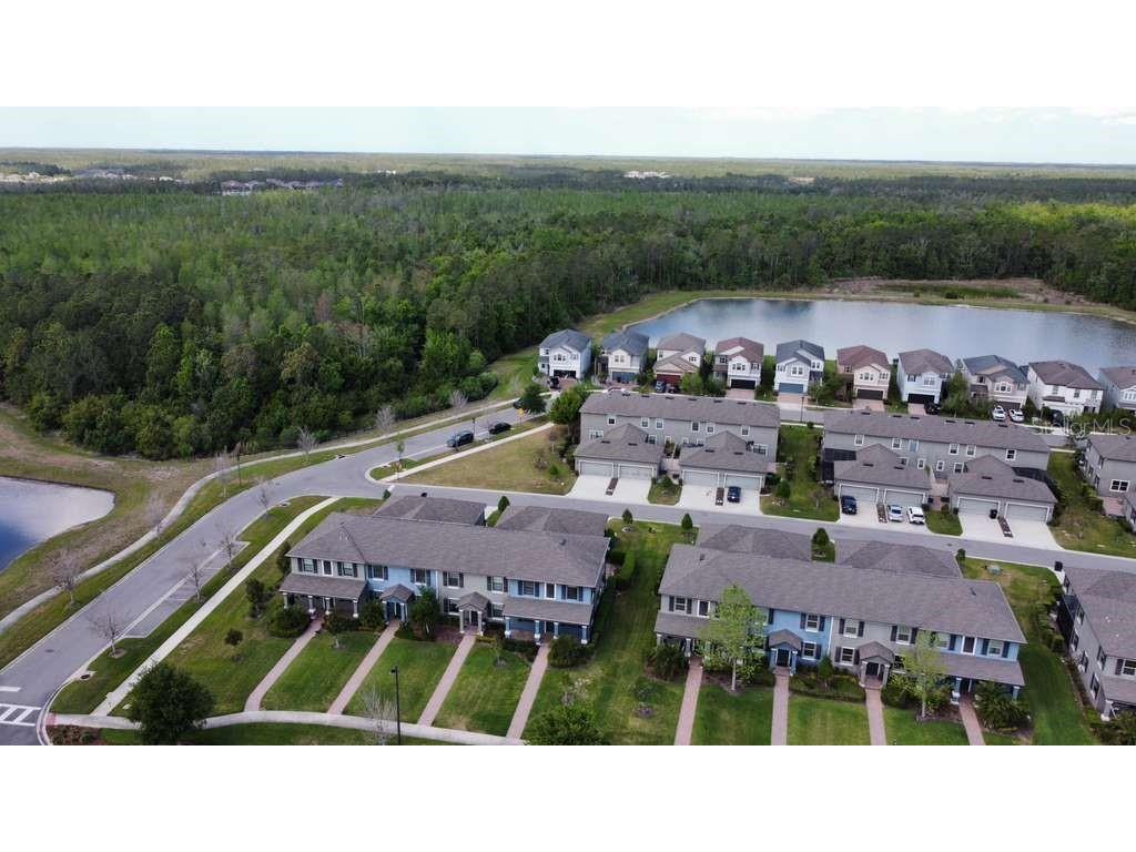 4609 Bexley Village Drive Land O Lakes FL 34638 TB8494038 image12