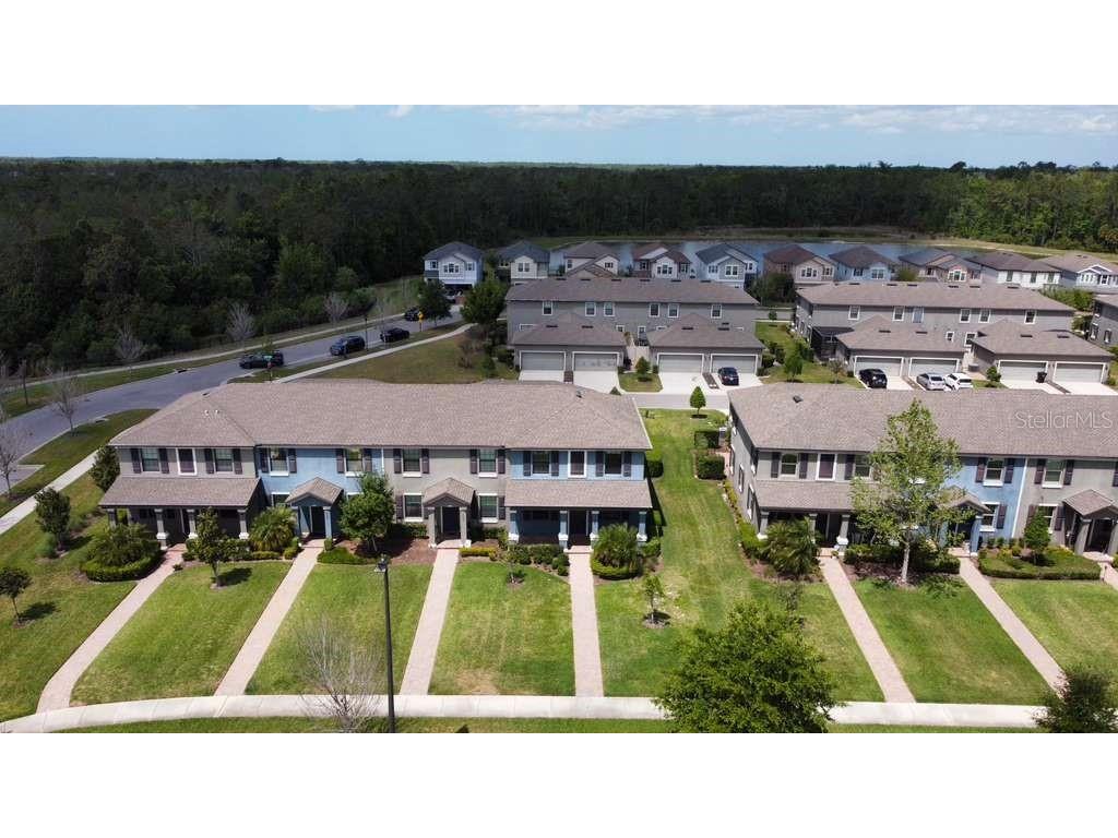 4609 Bexley Village Drive Land O Lakes FL 34638 TB8494038 image13