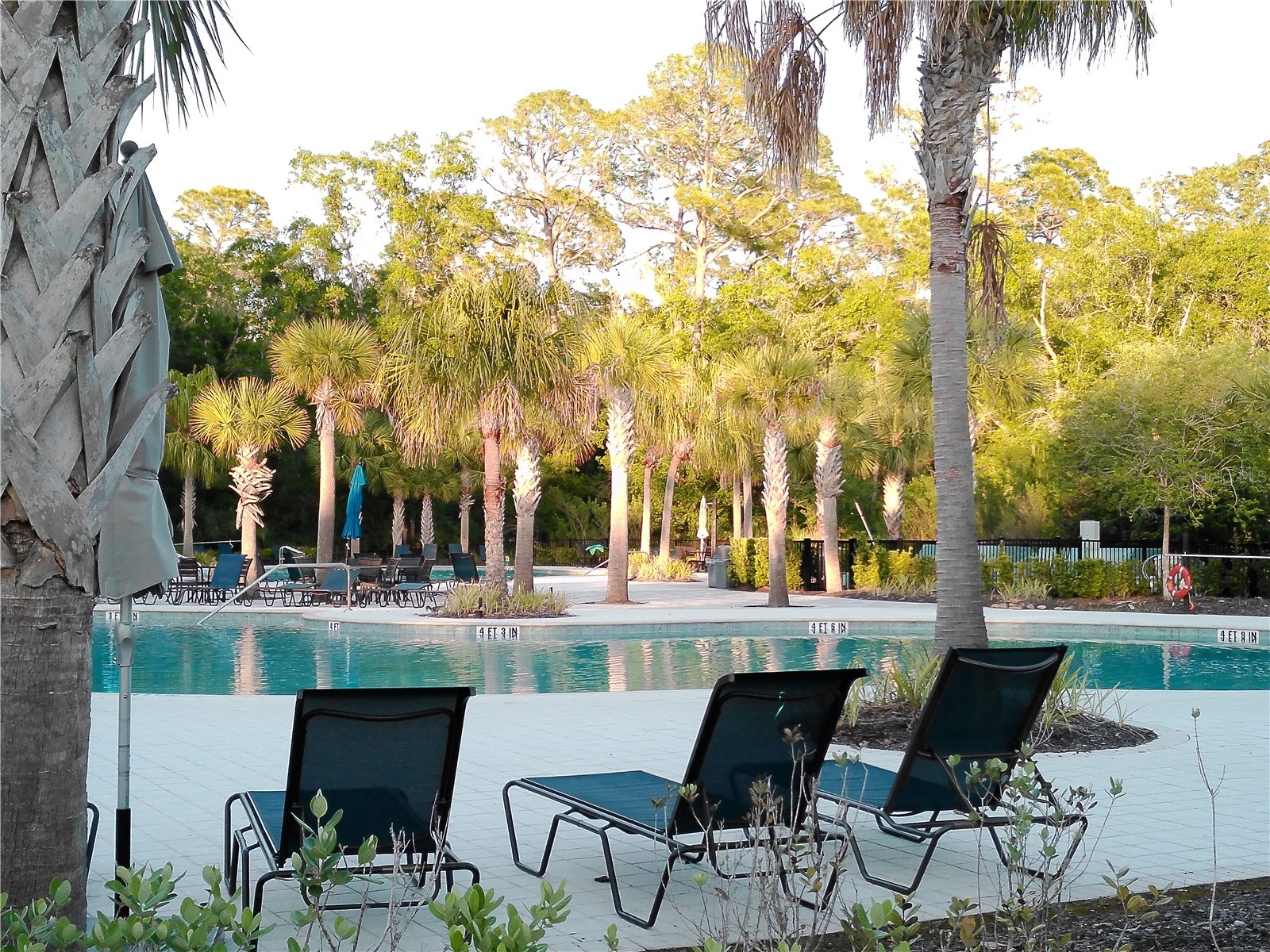 4609 Bexley Village Drive Land O Lakes FL 34638 TB8494038 image66