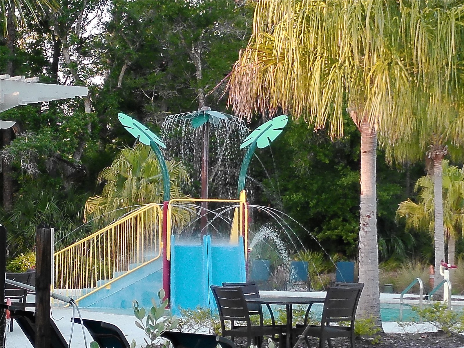 4609 Bexley Village Drive Land O Lakes FL 34638 TB8494038 image67