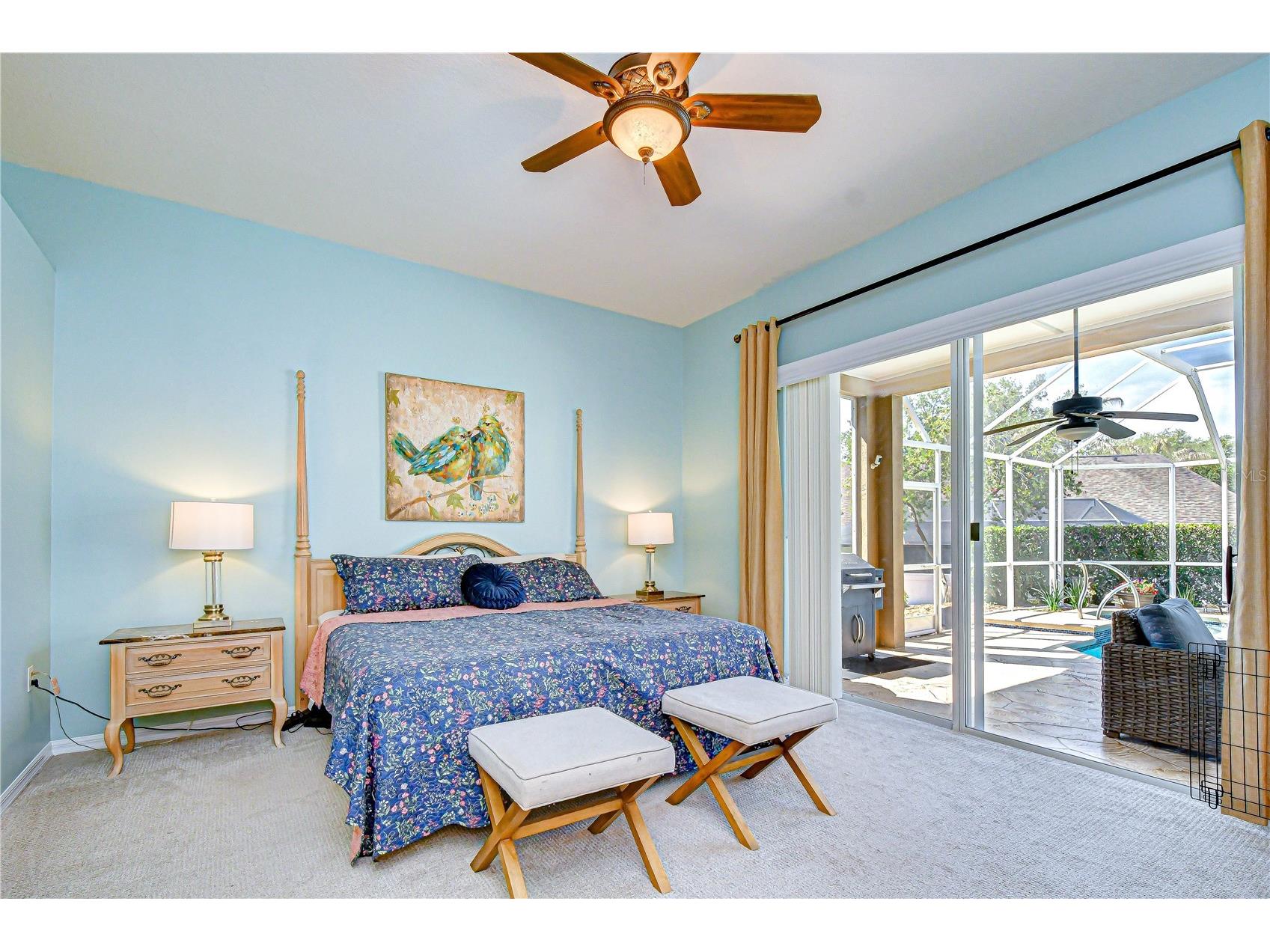 4609 Compass Oaks Drive Valrico FL 33596 TB8510753 image19