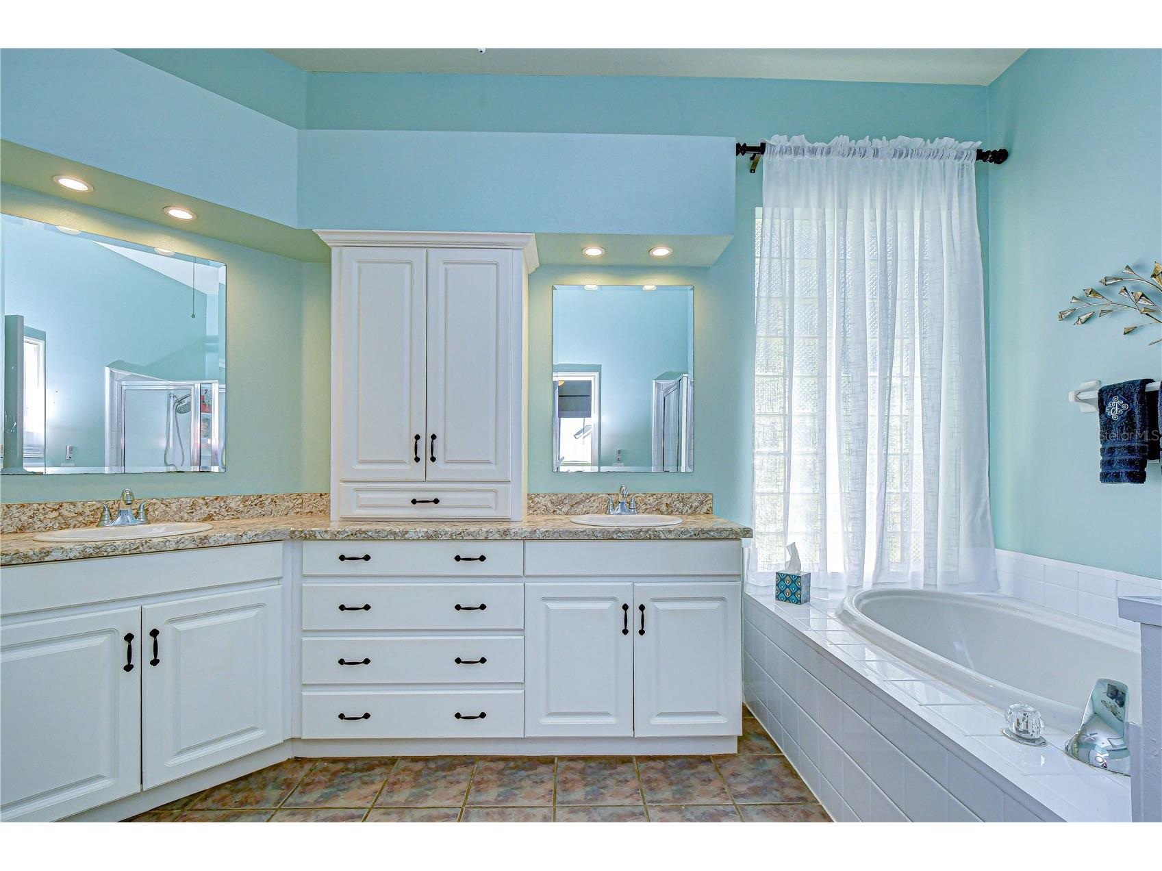 4609 Compass Oaks Drive Valrico FL 33596 TB8510753 image22