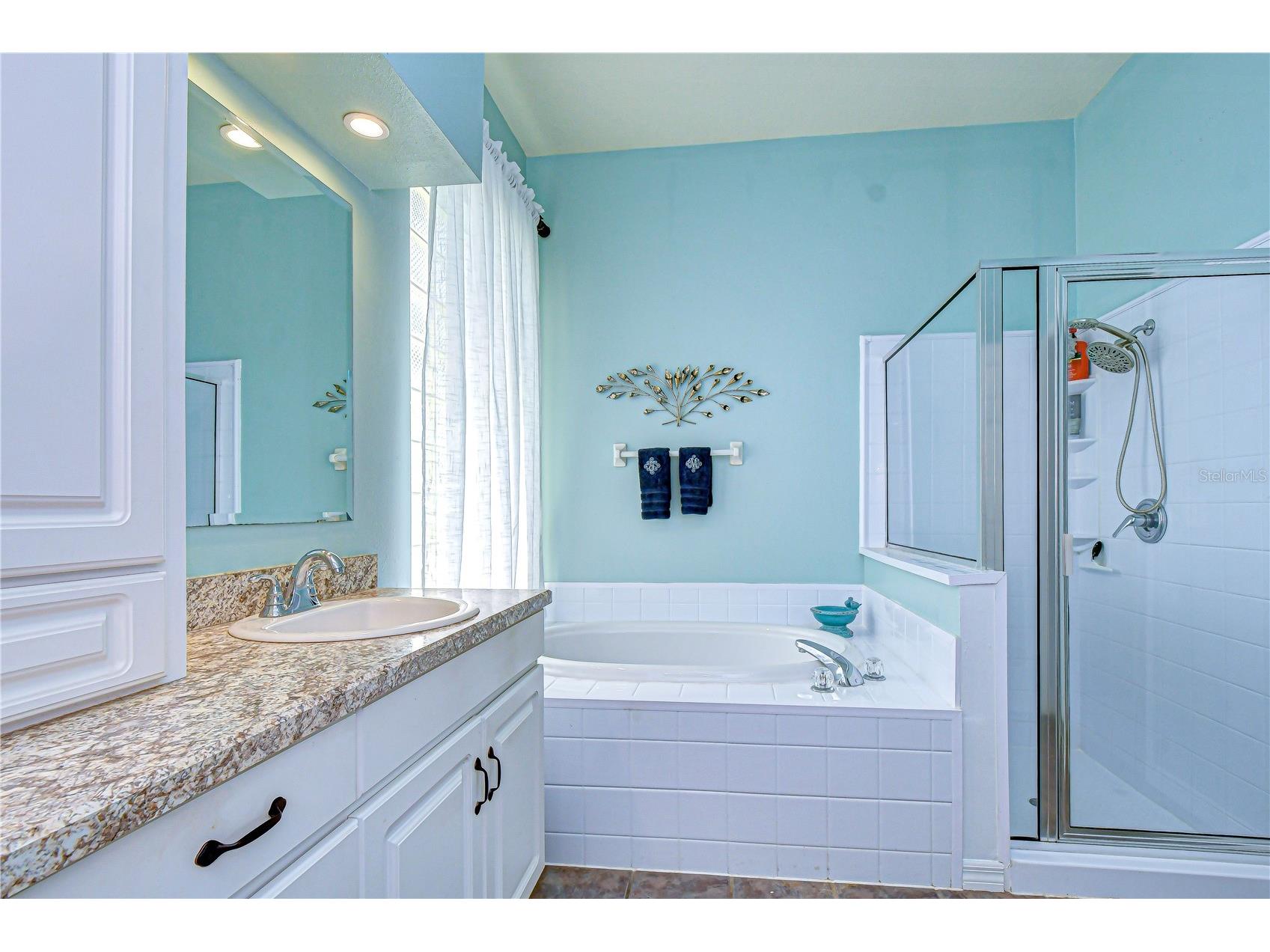4609 Compass Oaks Drive Valrico FL 33596 TB8510753 image23