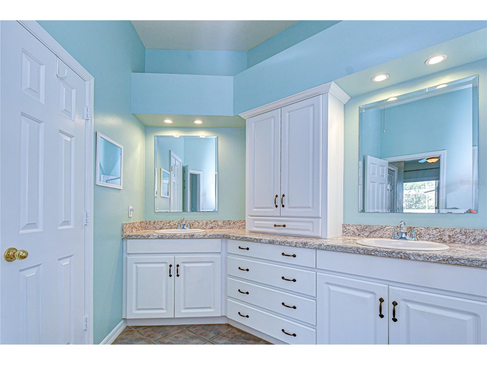 4609 Compass Oaks Drive Valrico FL 33596 TB8510753 image24