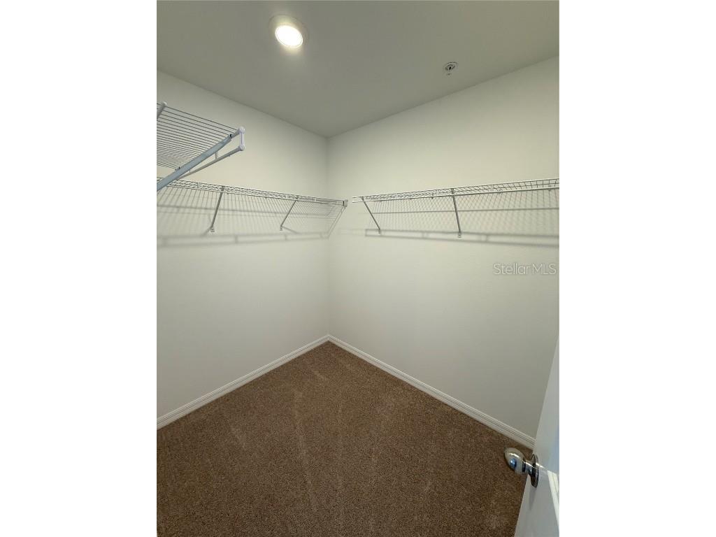 4609 Orchard View Alley Clermont FL 34714 S5139806 image23