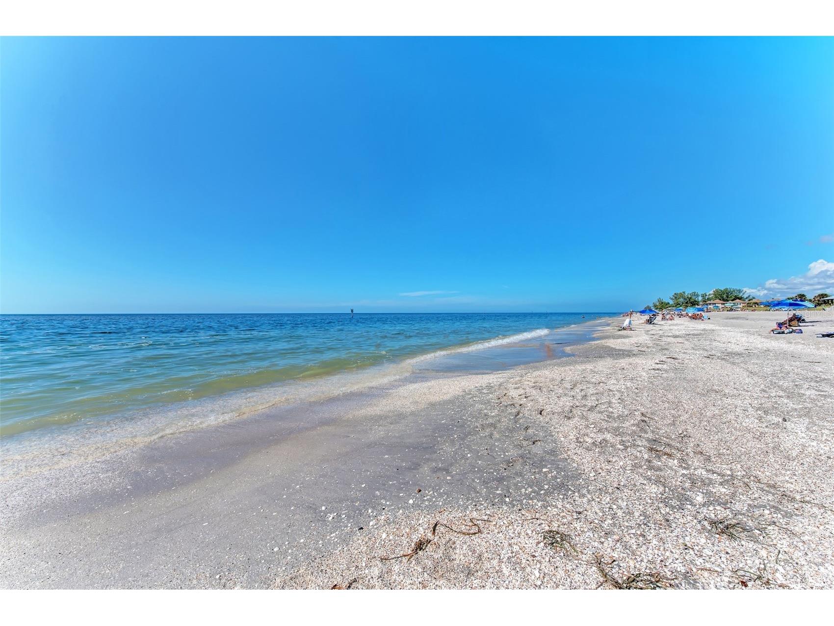 461 Firethorn Avenue Englewood FL 34223 - FORKED CREEK LEMON BAY GULF D6146521 image79