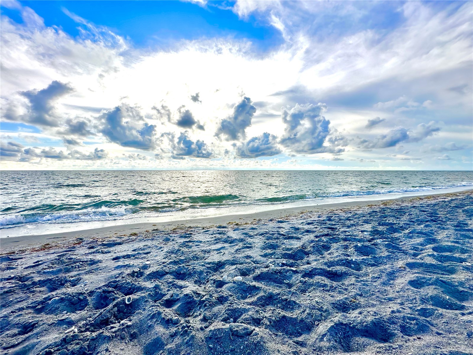 461 Firethorn Avenue Englewood FL 34223 - FORKED CREEK LEMON BAY GULF D6146521 image85