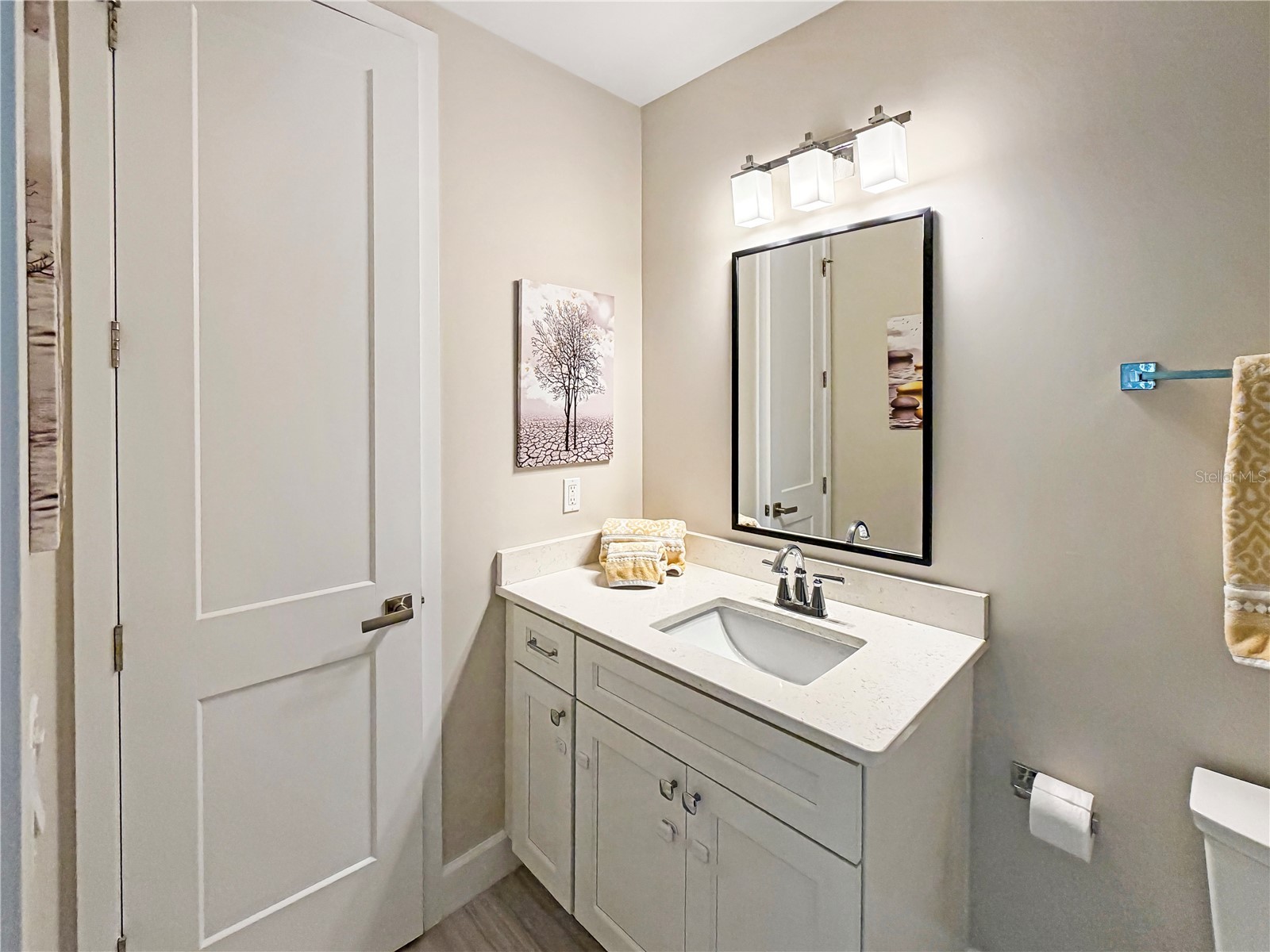 461 Geranium Park Way Winter Garden FL 34787 O6403758 image19