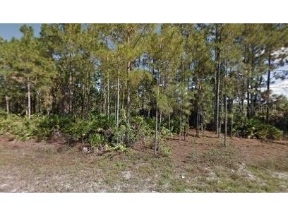 461 Lackey Avenue S Lehigh Acres FL 33974 C7494355 image1