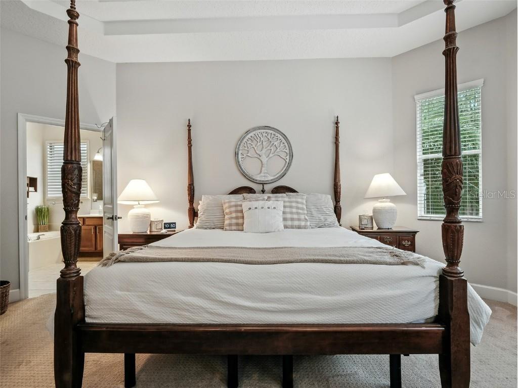 461 Luna Bella Lane New Smyrna Beach FL 32168 NS1085187 image30