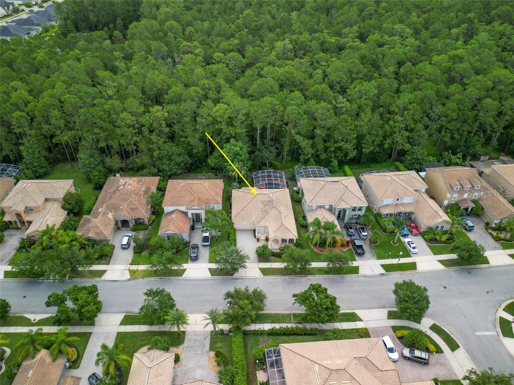 461 Luna Bella Lane New Smyrna Beach FL 32168 NS1085187 image5