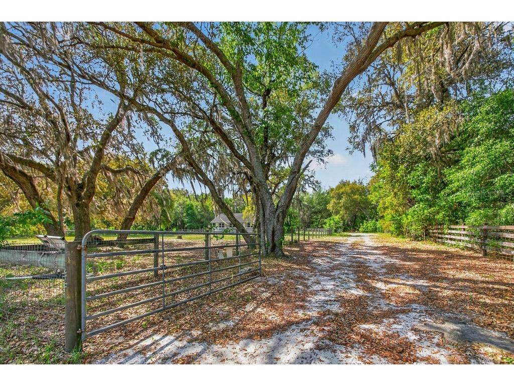 461 Old Starke Road Palatka FL 32177 FC317957 image6