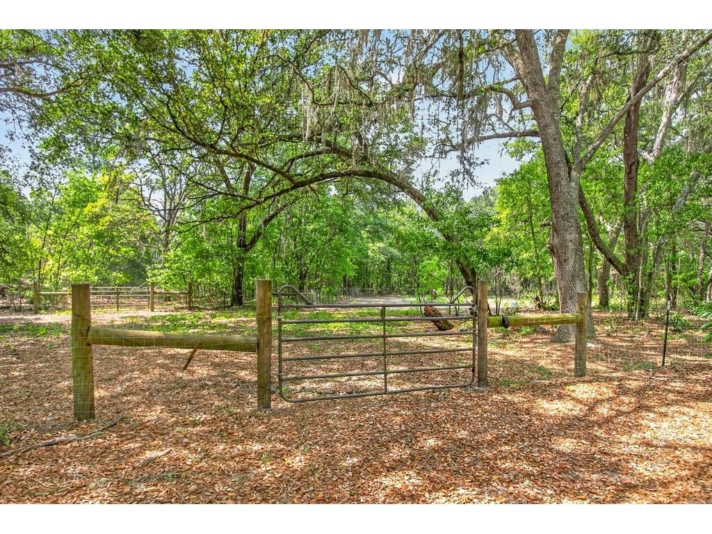 461 Old Starke Road Palatka FL 32177 FC317957 image67
