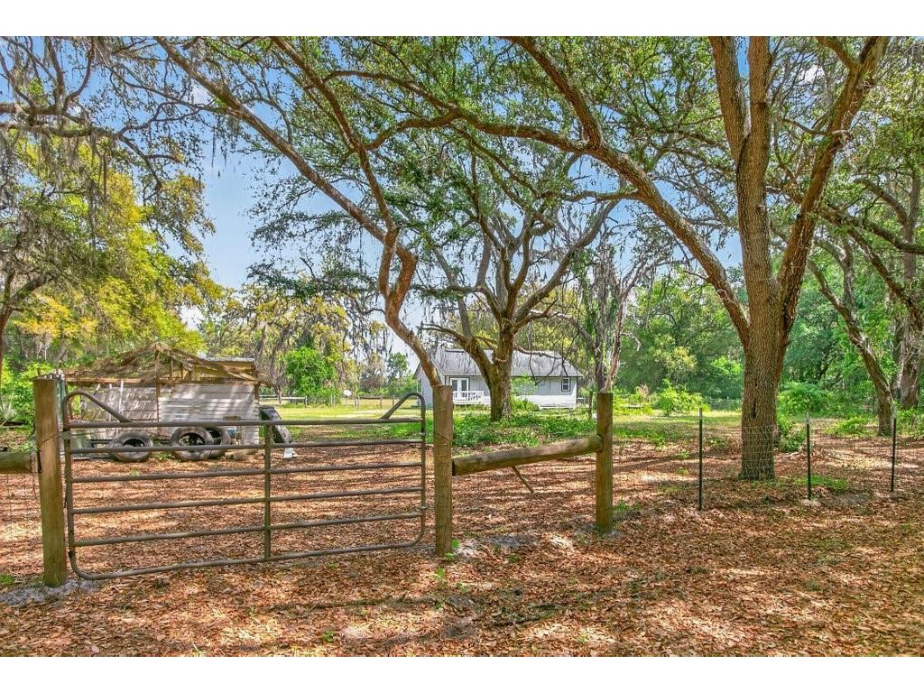 461 Old Starke Road Palatka FL 32177 FC317957 image68