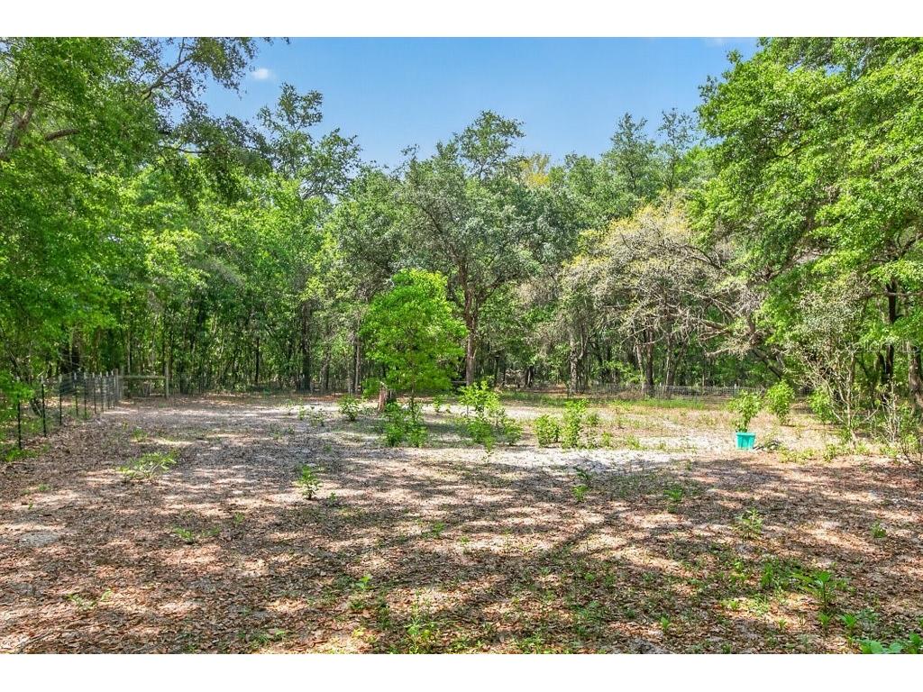 461 Old Starke Road Palatka FL 32177 FC317957 image69