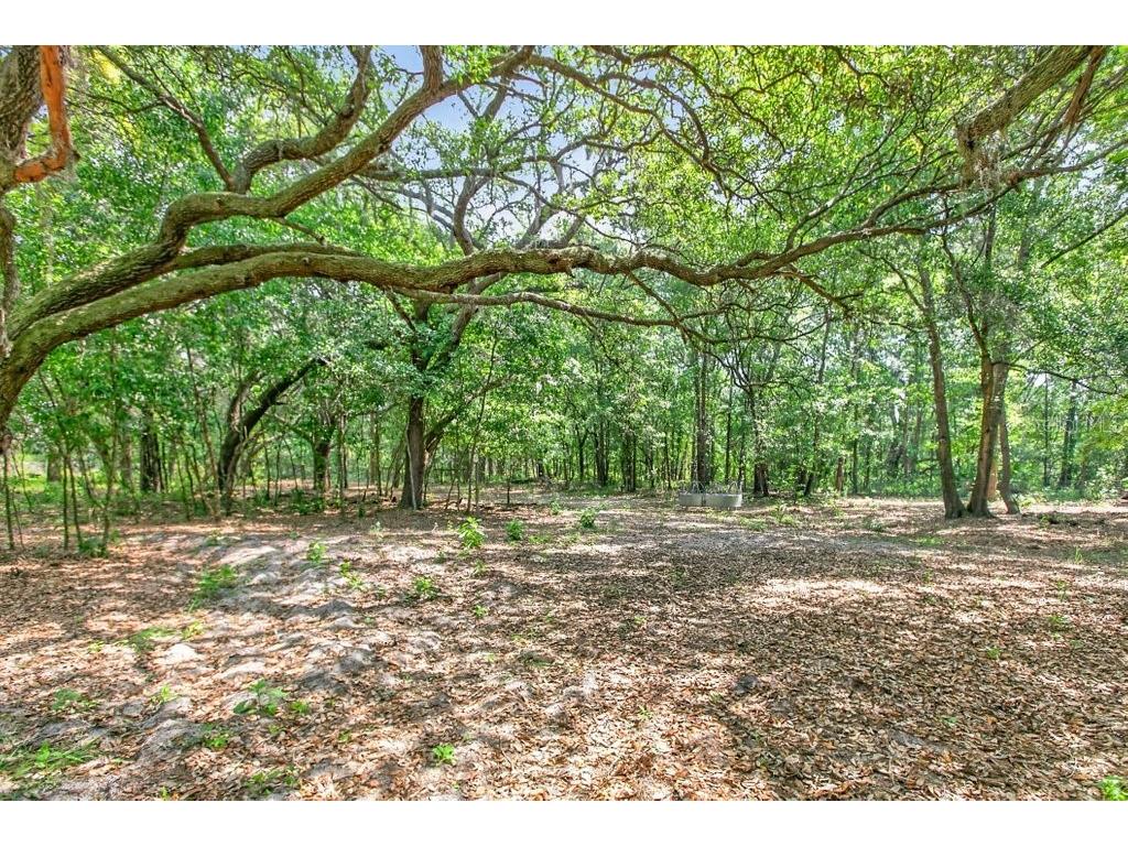 461 Old Starke Road Palatka FL 32177 FC317957 image70