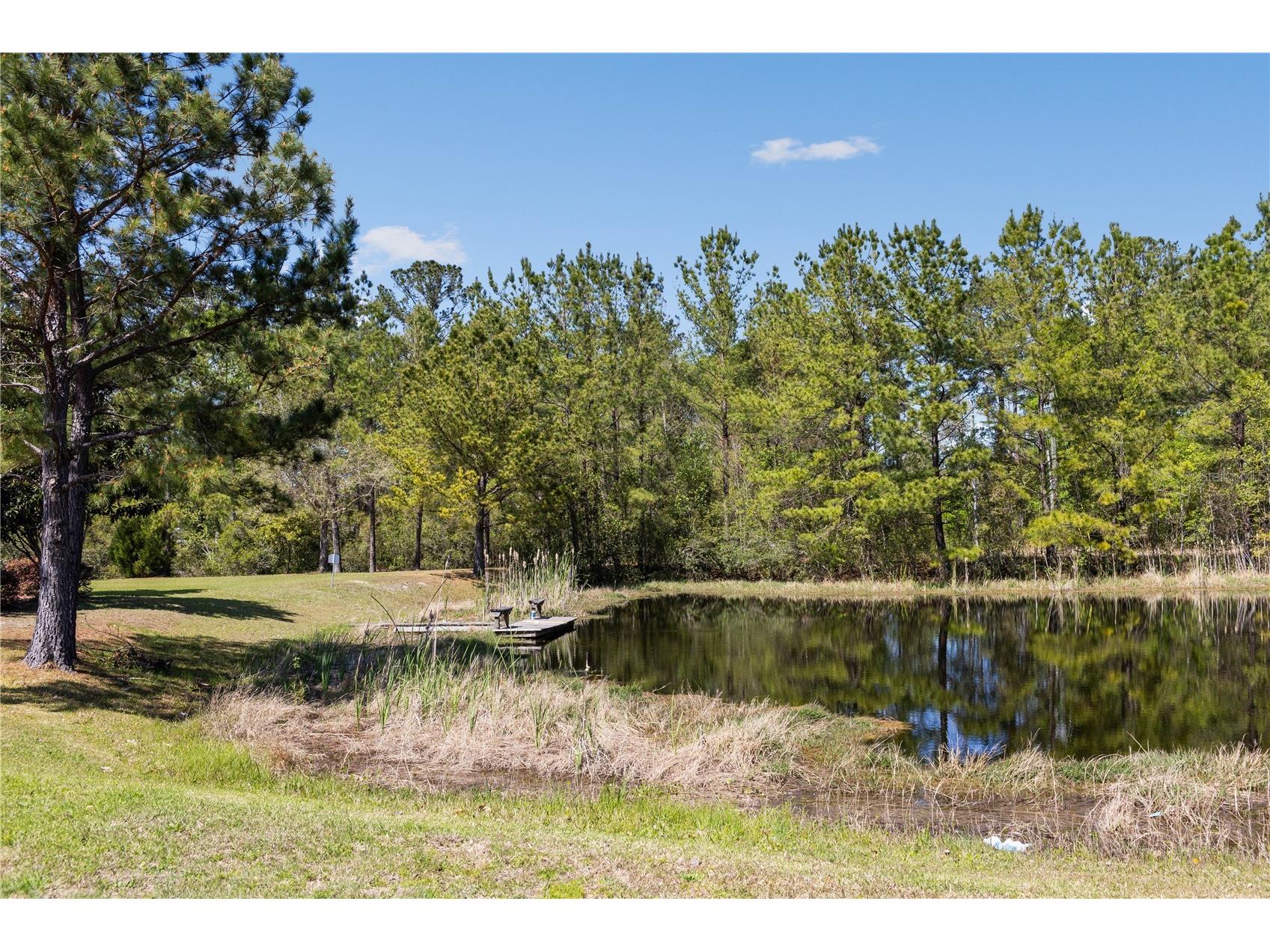 461 SW Bellflower Drive Lake City FL 32024 GC537564 image17