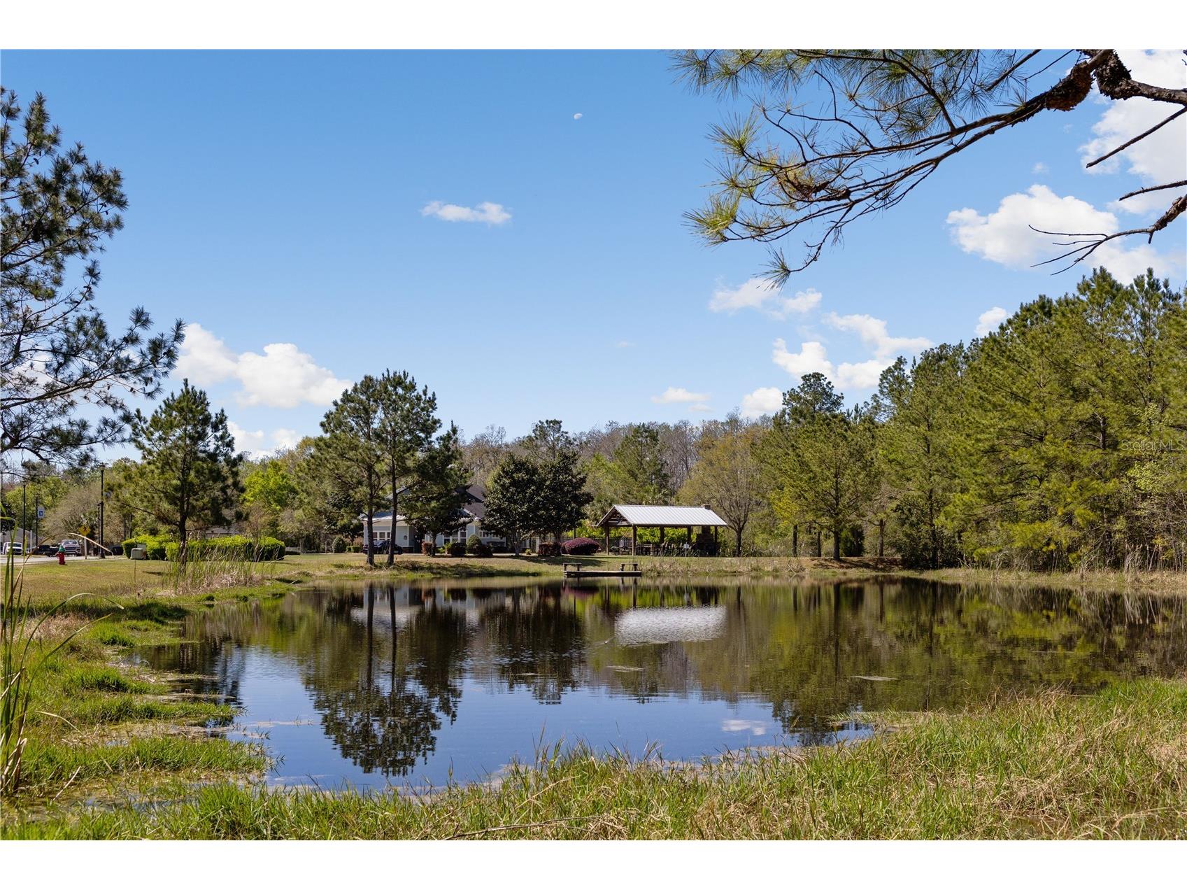 461 SW Bellflower Drive Lake City FL 32024 GC537564 image18