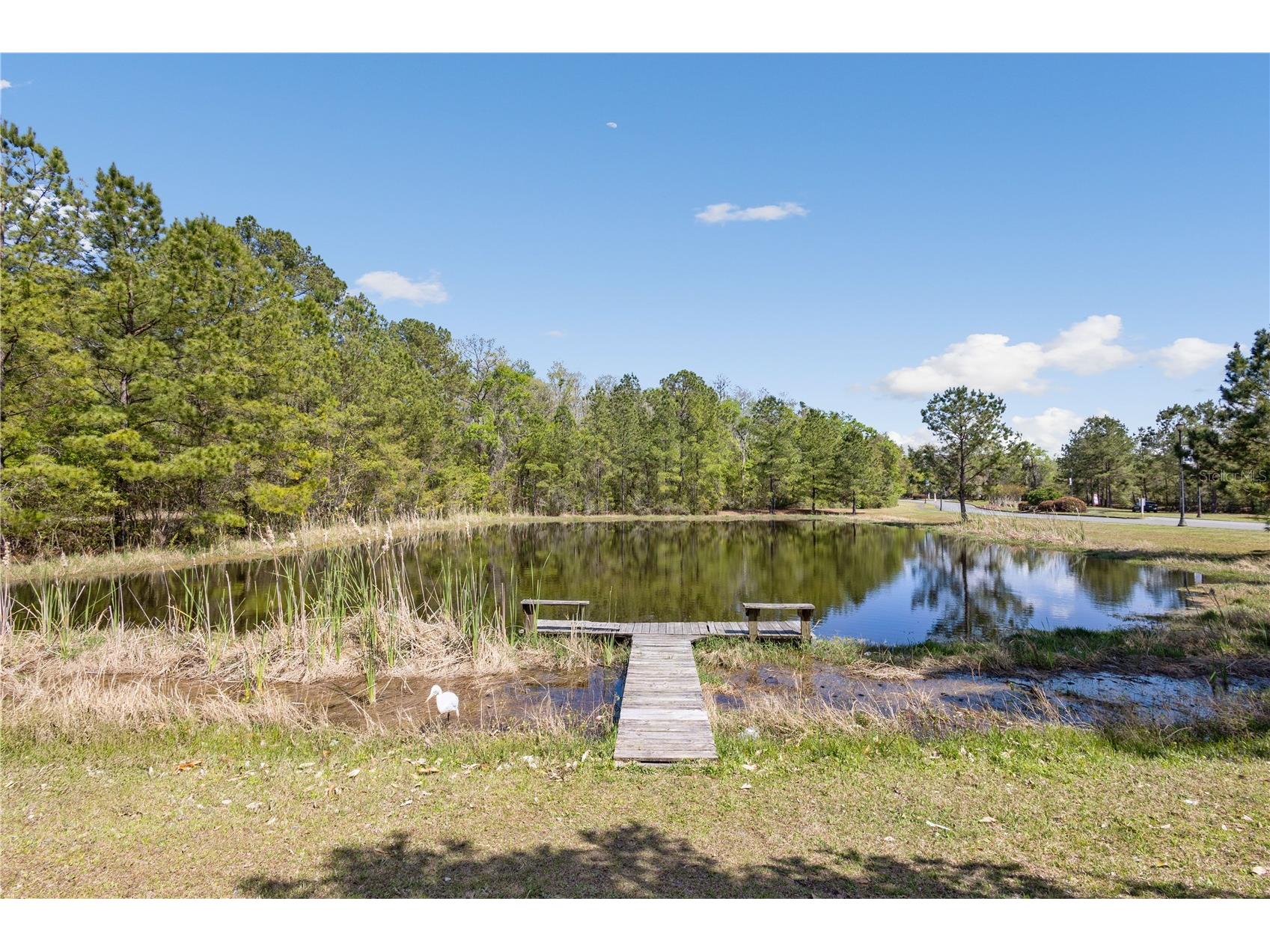 461 SW Bellflower Drive Lake City FL 32024 GC537564 image4