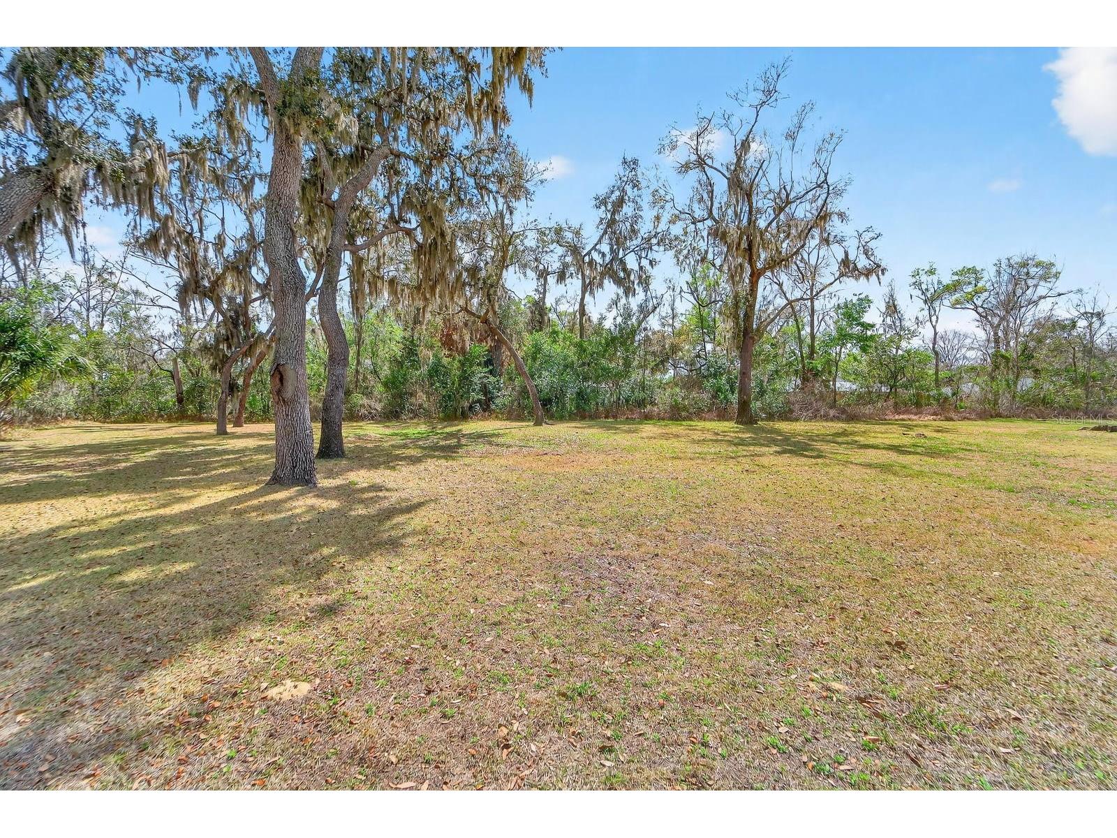 4610 Clarksdale Lane Brandon FL 33511 TB8485276 image49