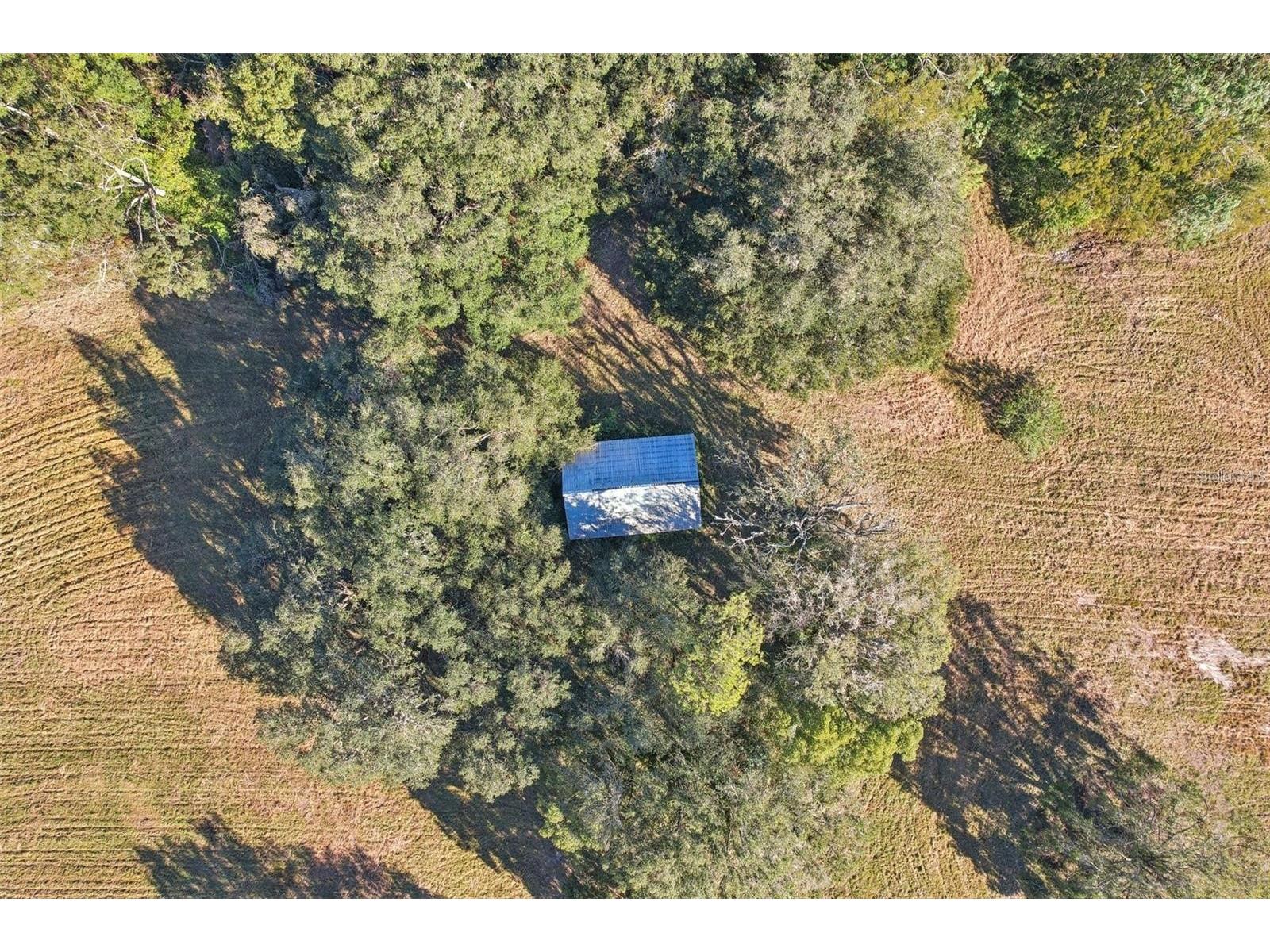 4610 E County Road 542 Lakeland FL 33801 TB8462685 image4