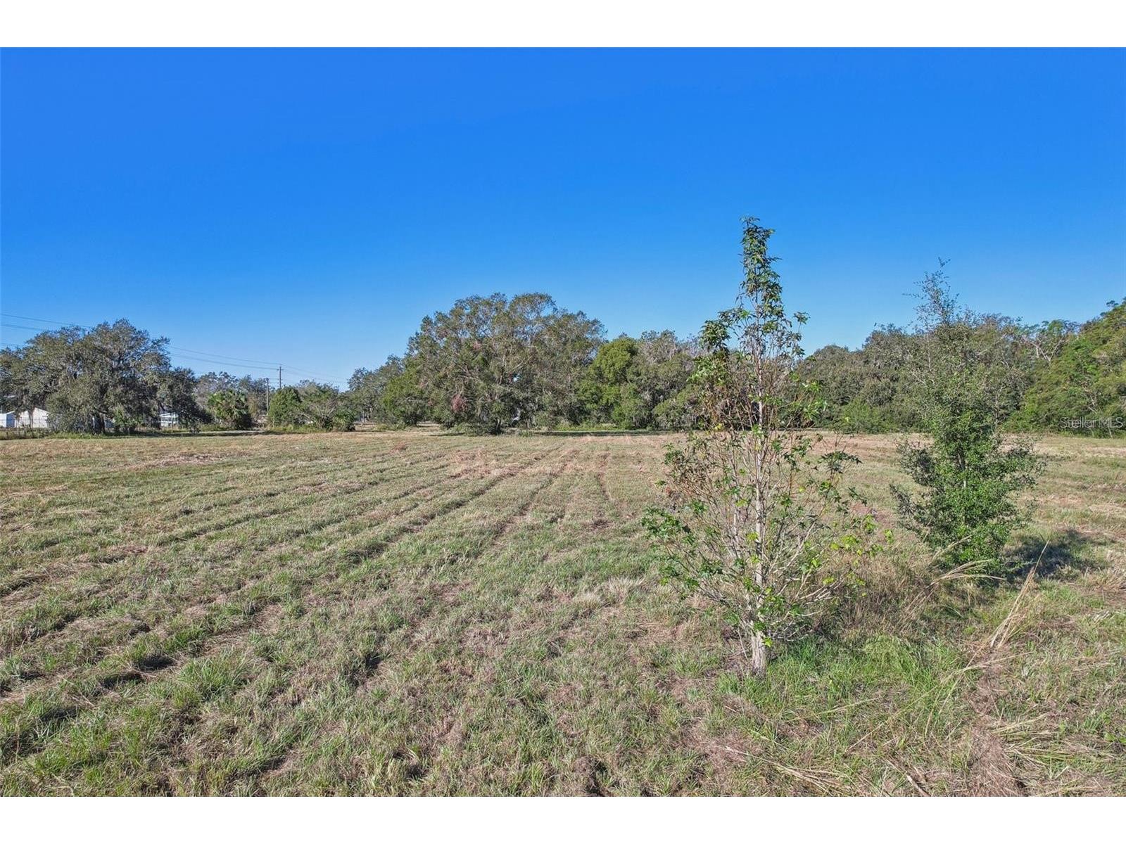 4610 E County Road 542 Lakeland FL 33801 TB8462685 image8